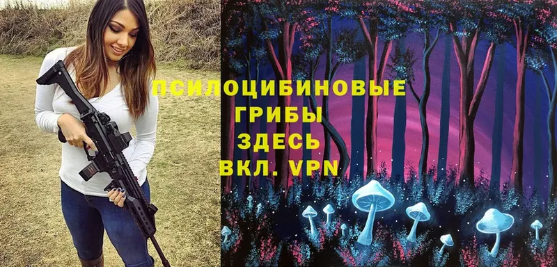 Псилоцибиновые грибы Magic Shrooms  это состав  Чистополь  что такое наркотик 