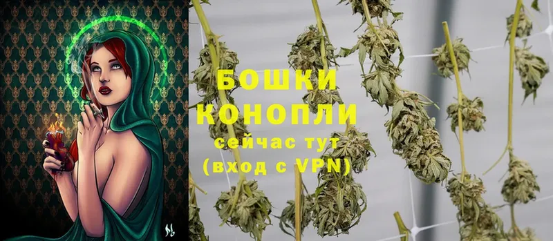 где купить   Чистополь  Марихуана SATIVA & INDICA 